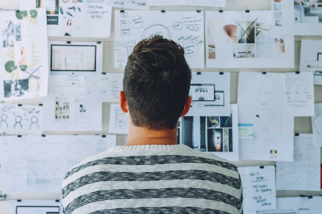 Alpha and Beta Phases of Software Testing
