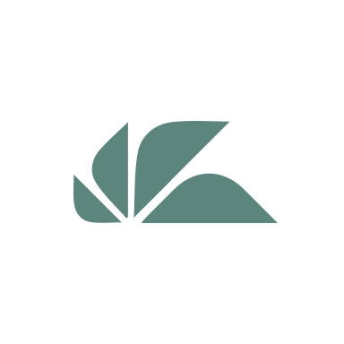 Head of E-Channels & Product Management