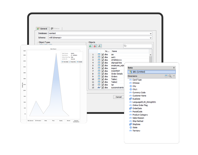 Manual and Automated Testing for a Database Management Solution